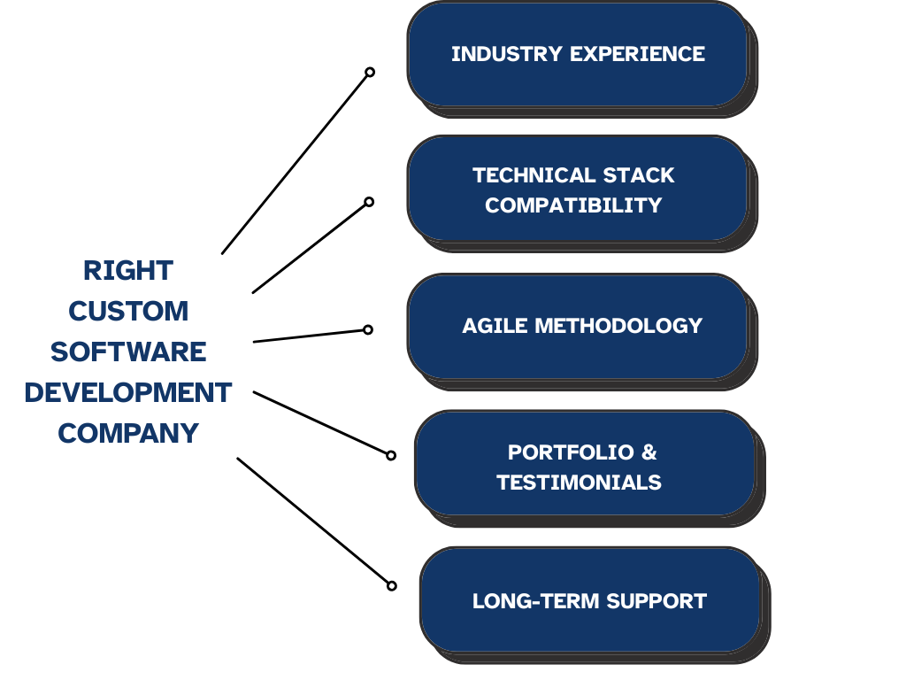 Custom Software Development